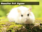 Play Hamster Pet Jigsaw Hamster Pet Jigsaw Game Online