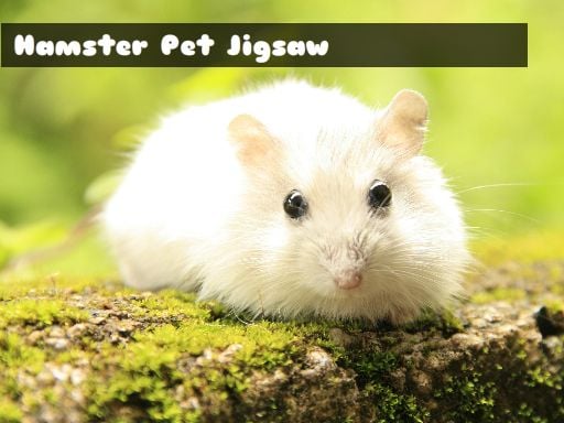 Hamster Pet Jigsaw Game