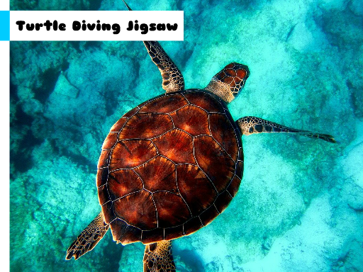 Turtle Diving Jigsaw Game Image Turtle Diving Jigsaw Game